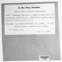 Image Associated With the Occurence